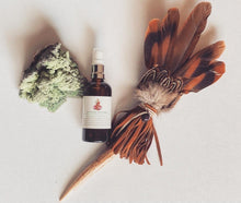 Load image into Gallery viewer, Lakshmi Saṃsāra Mist